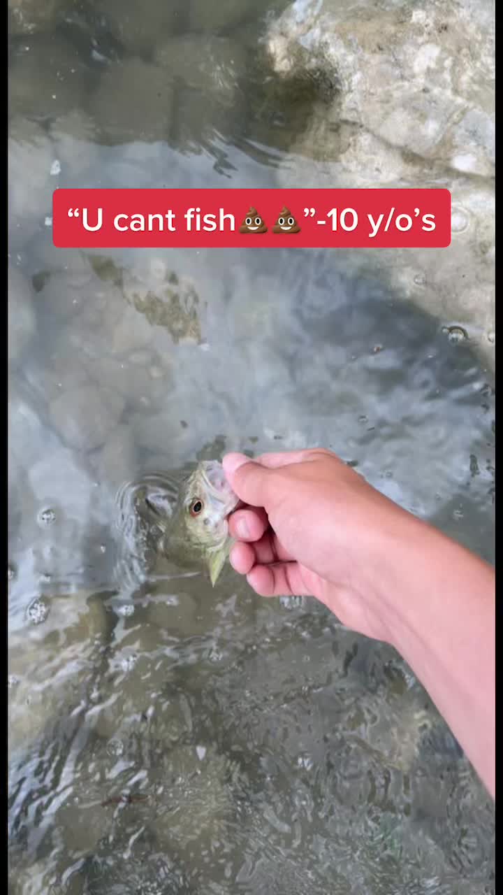 @Matt K