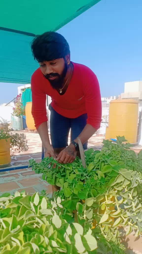 @AzhagiyaAsuran❤️