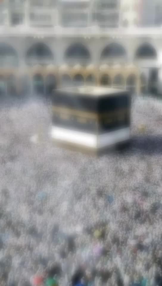 @Ansarulmomin19