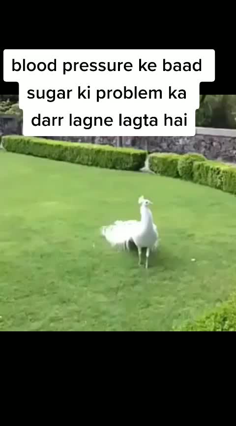 @mea to ummati hu