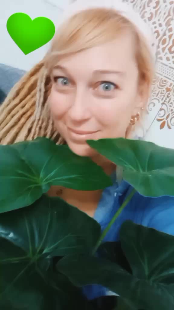 @csillakaltenecker