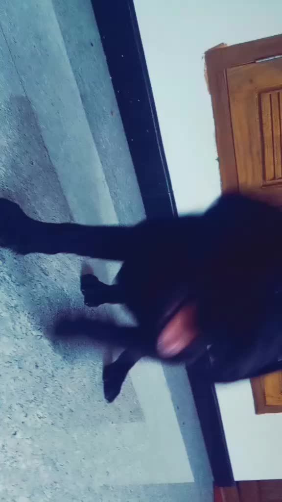 @P҉R҉E҉D҉I҉A҉T҉&oslash;R