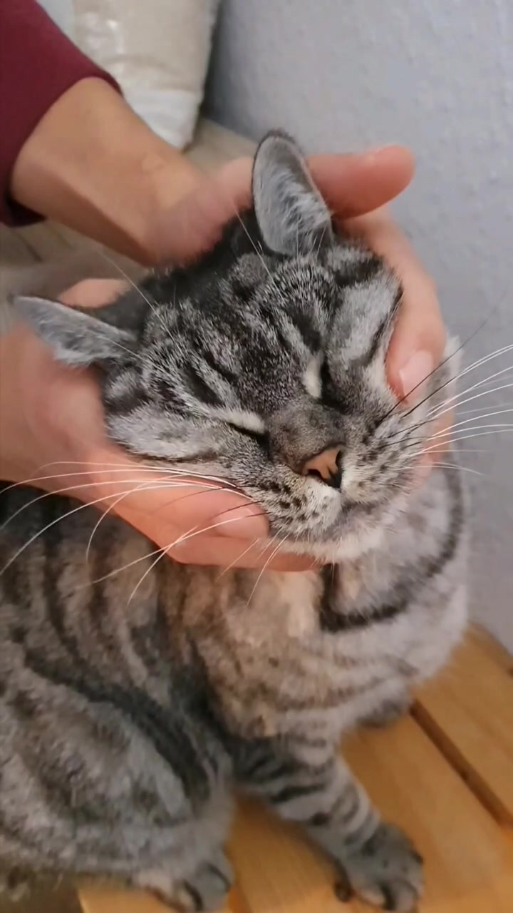 @the coconutkitty