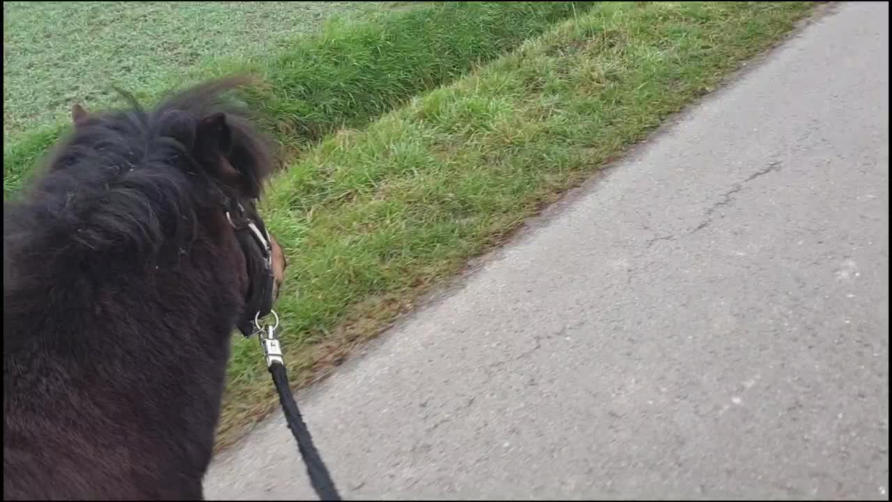 @eventingridersx