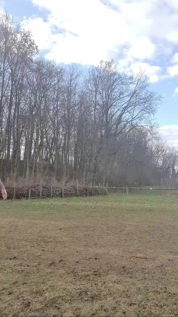 @Jumpintothefreedom