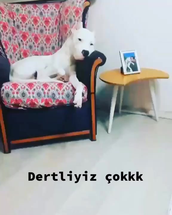@Ömer Sarı