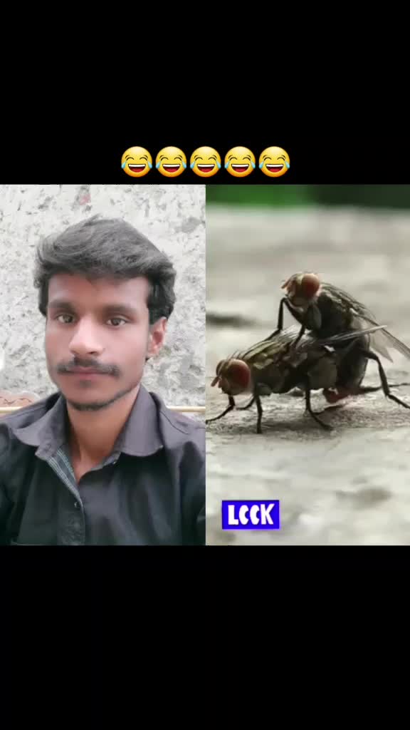 @Prince 9899