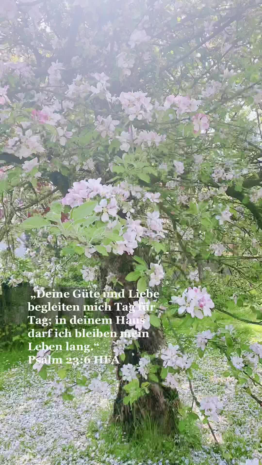 @stueckwerk | Celina