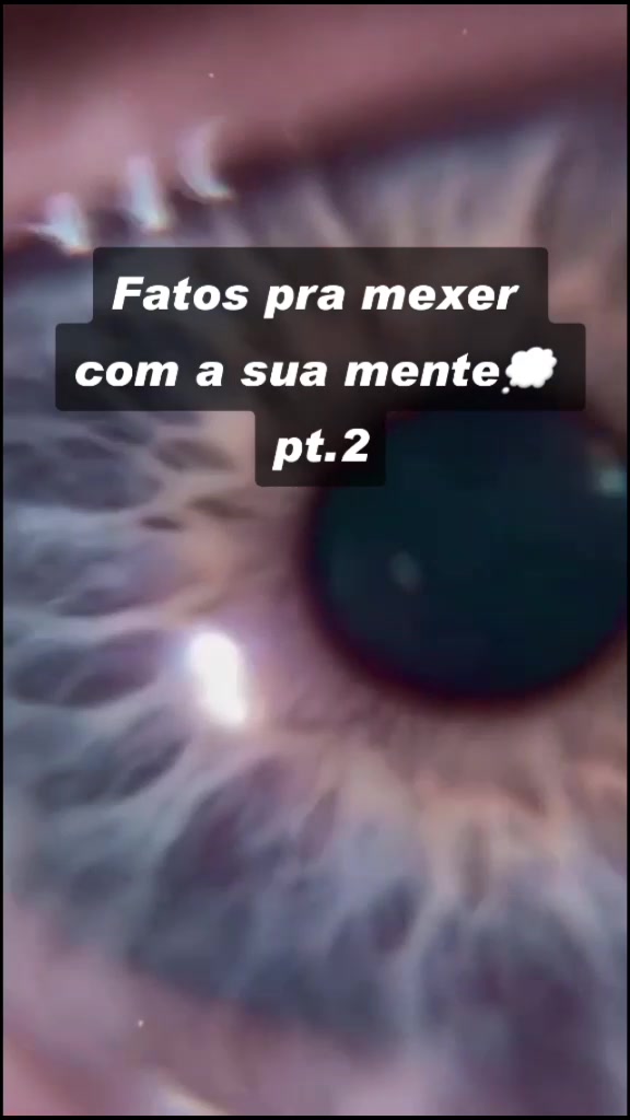 @isa.moon