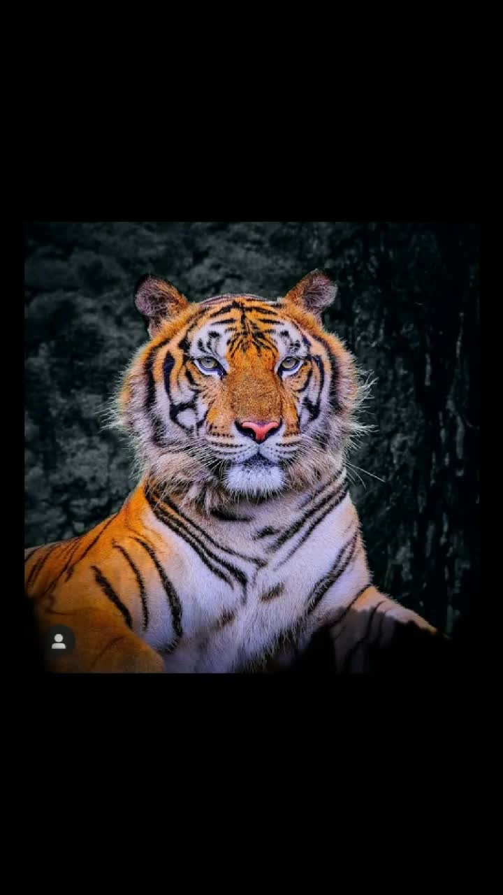 @😎 SOHEL 😎
