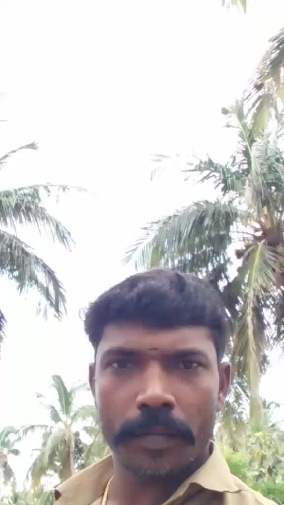 @bharathivinothini234