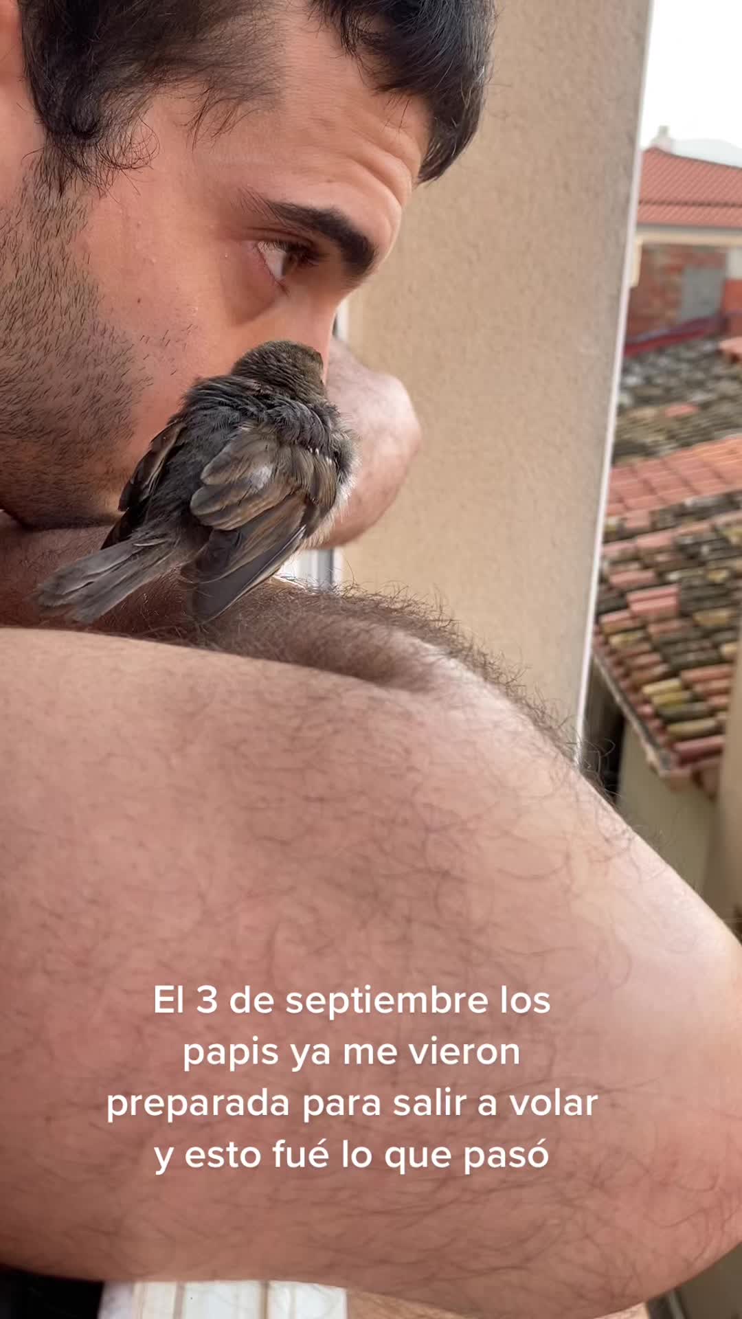 @saravtsmk