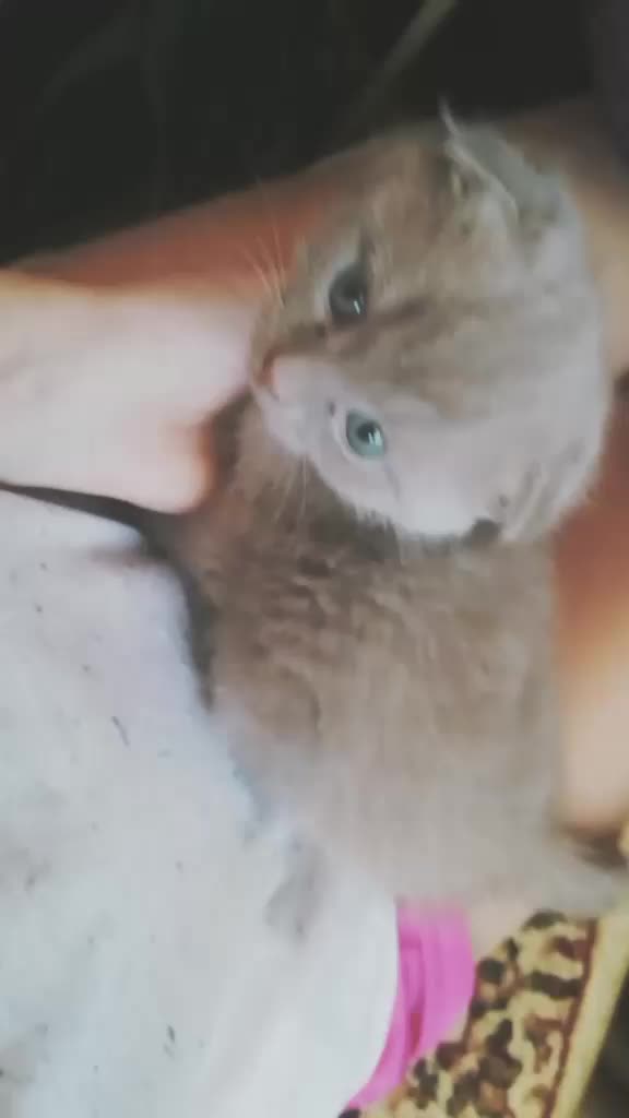 @виктория