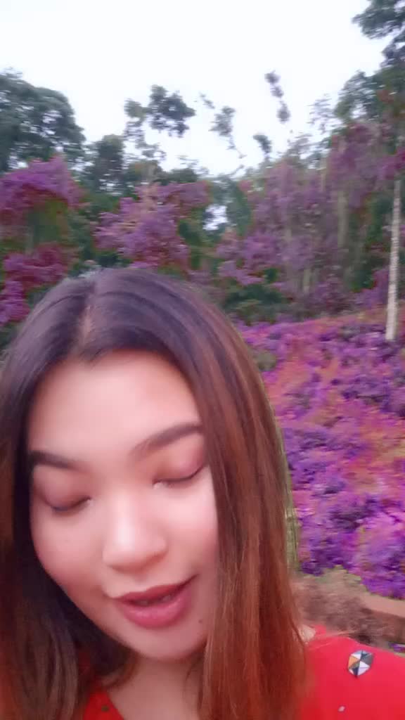 @Reeya Tmg🌸