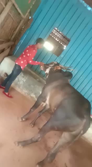 @👑 सोन्या पानसरे 👑