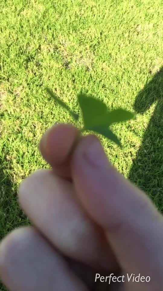 @☘️💫