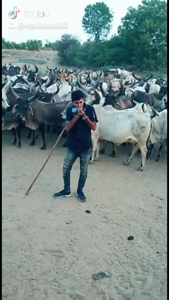 @Vipul Desai
