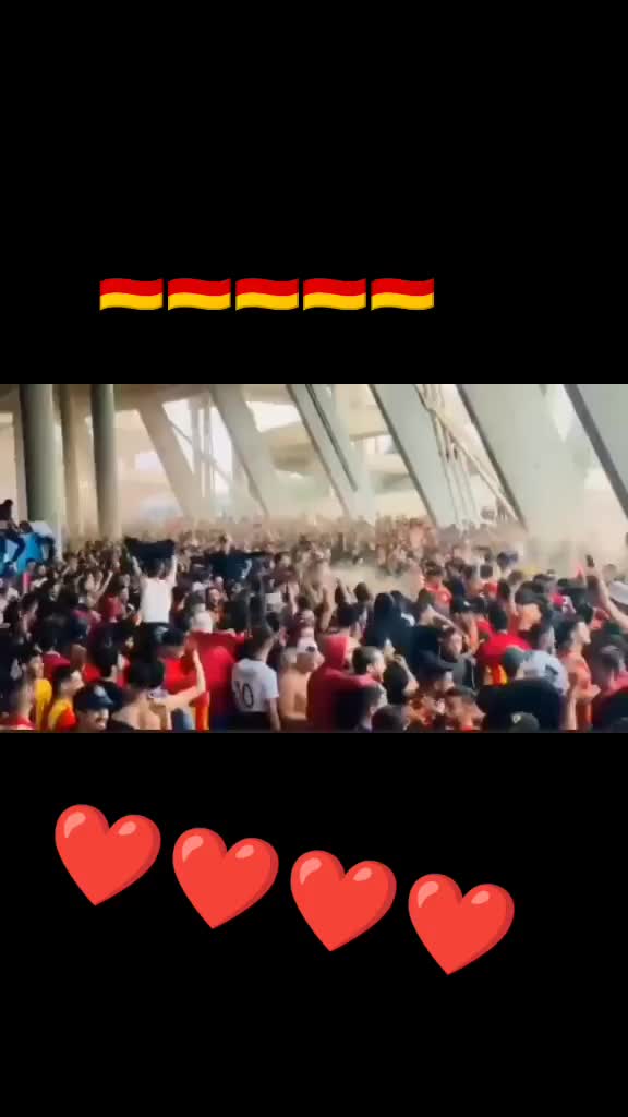 @Fansclub1919Est
