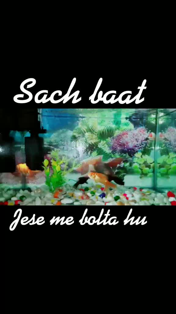 @Mohit kanganheriya