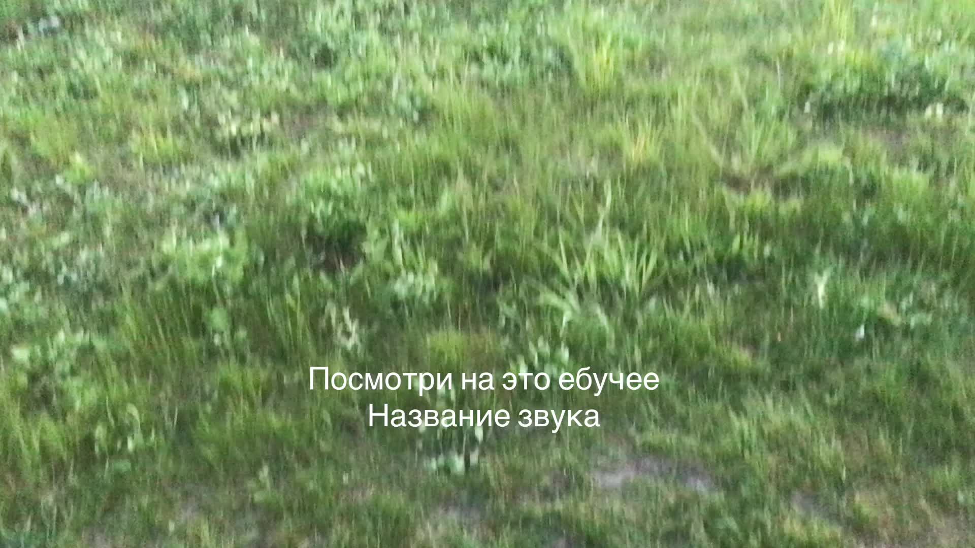 @asdfer69