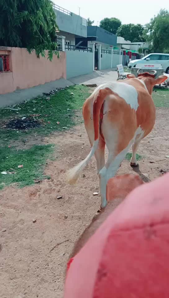 @Tushar Rabari