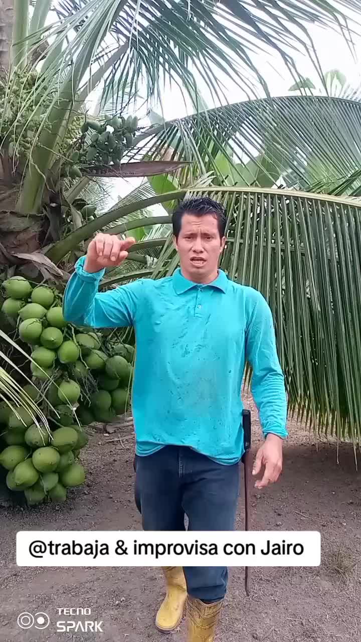 @Jairo desde el campo.