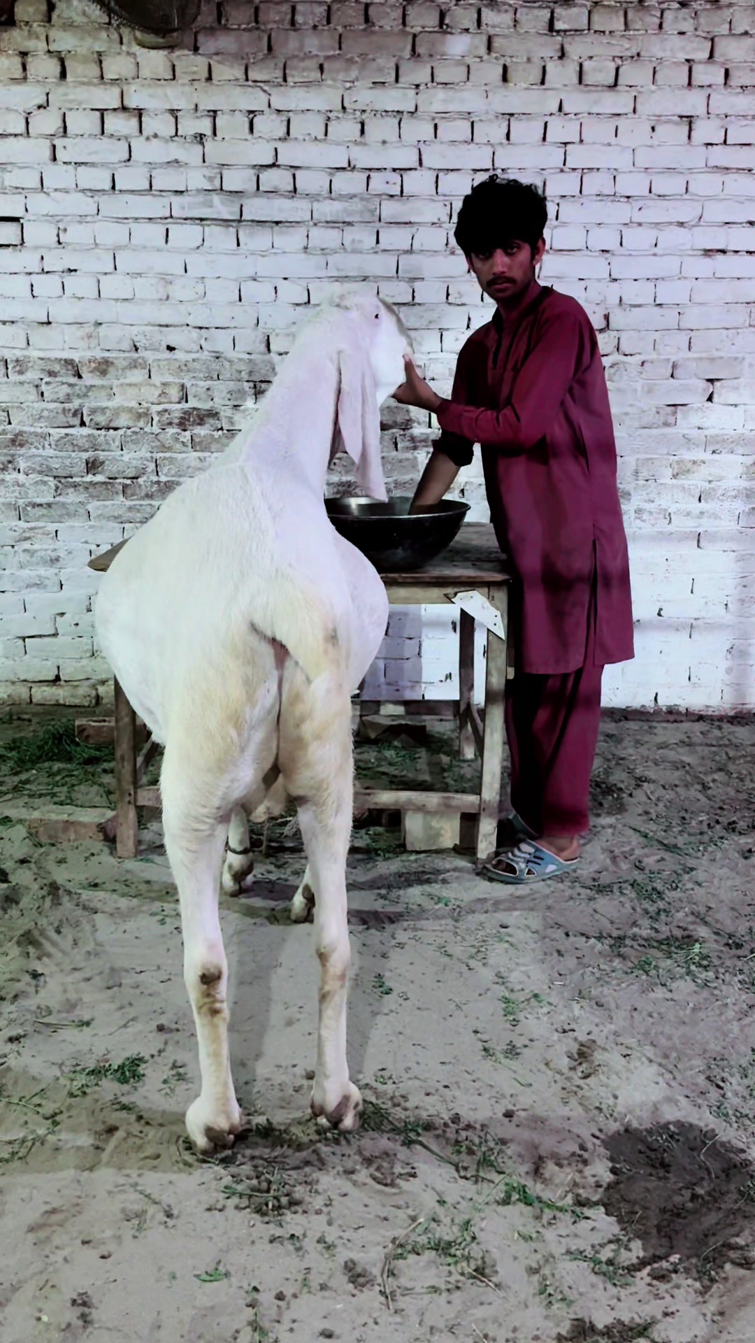 @Buraq waqar