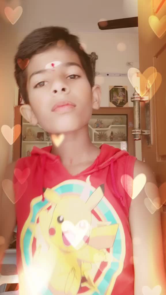@vemulasona