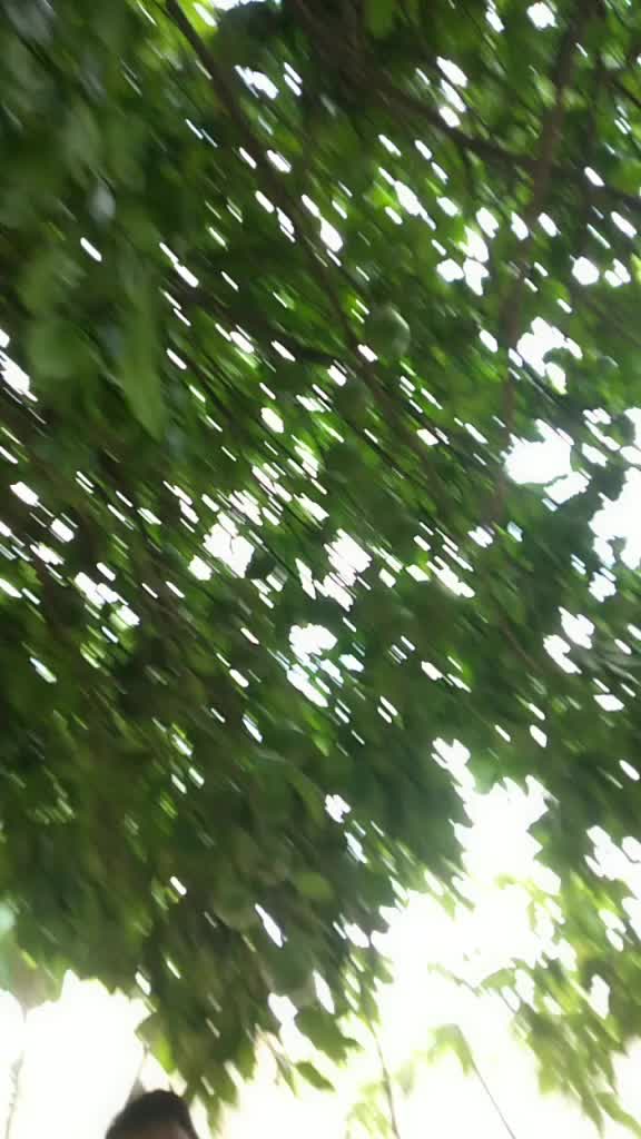 @Sartajansari