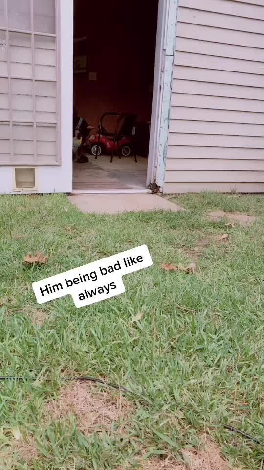 @Max