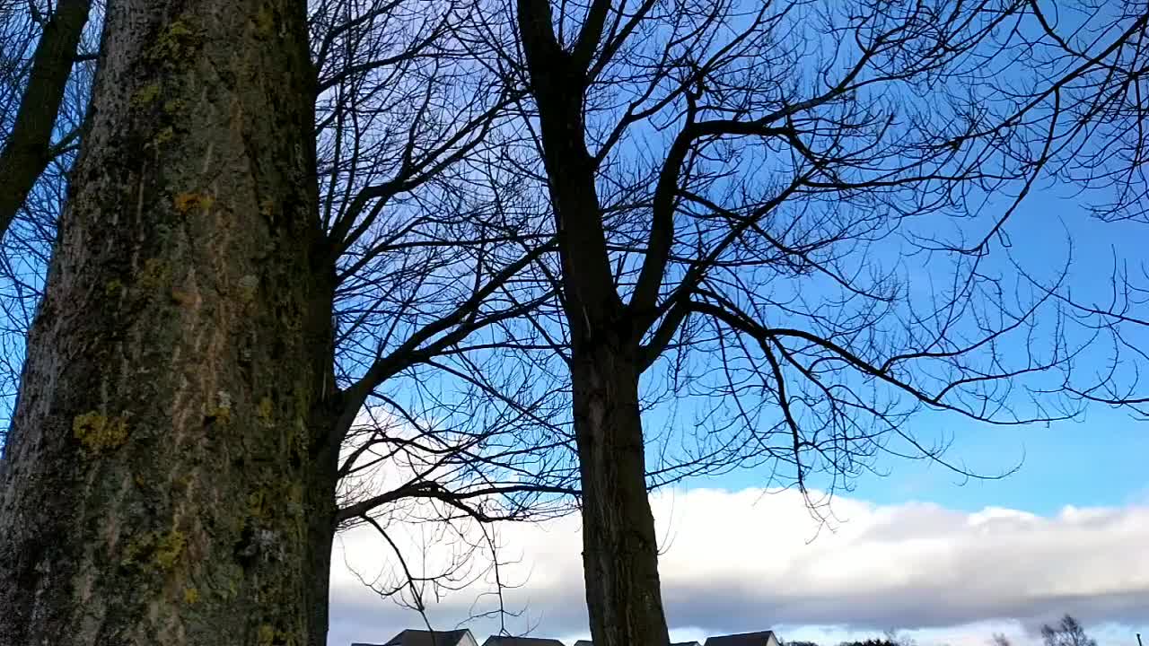 @✨500? •^•✨