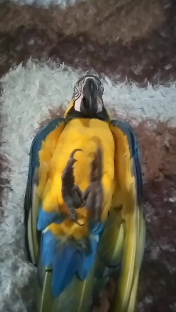 @user53654213553244