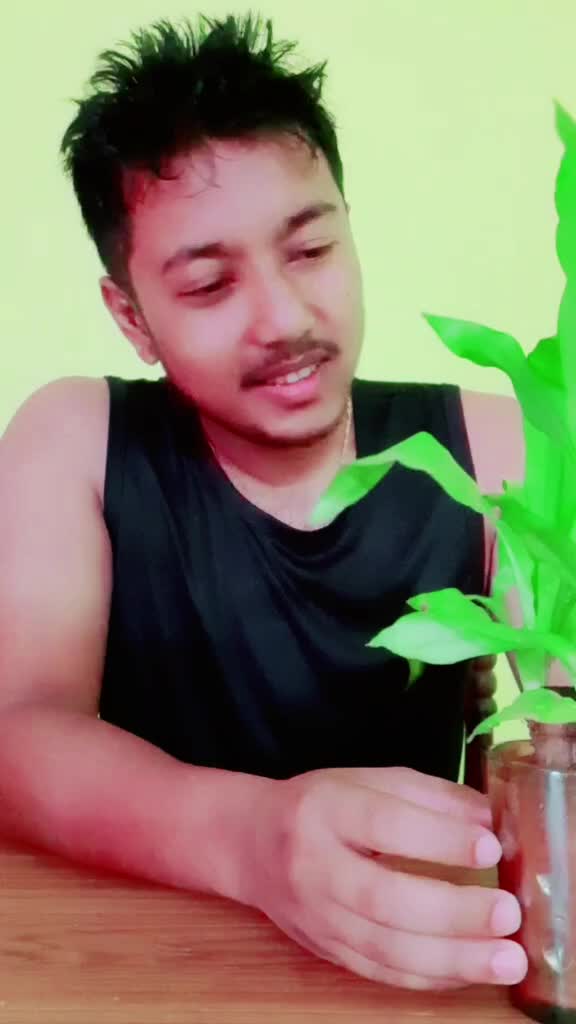 @♬⩎⩏ᖰ♬៣ Ʀ♬ƴ