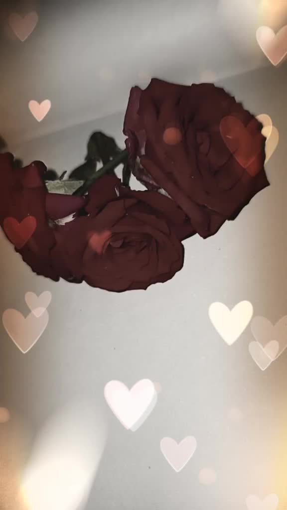 @Çhíññü( ˘ ³˘)♥