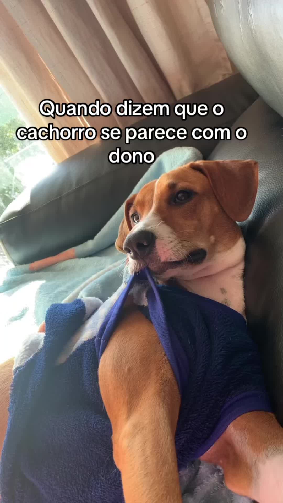 @Pacoserelepe