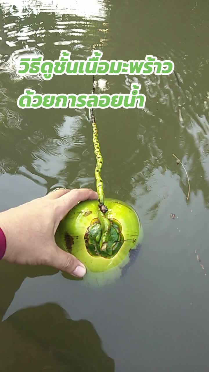 @Nimit Roiampang