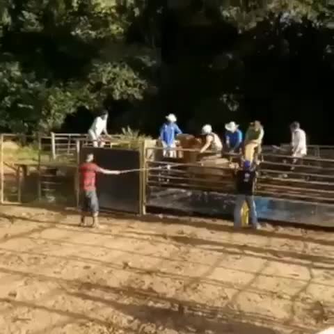 @RodeoWrecksFanPage