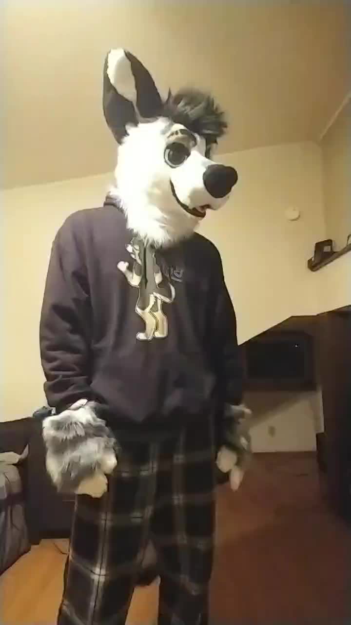 @Ryker_Mutt
