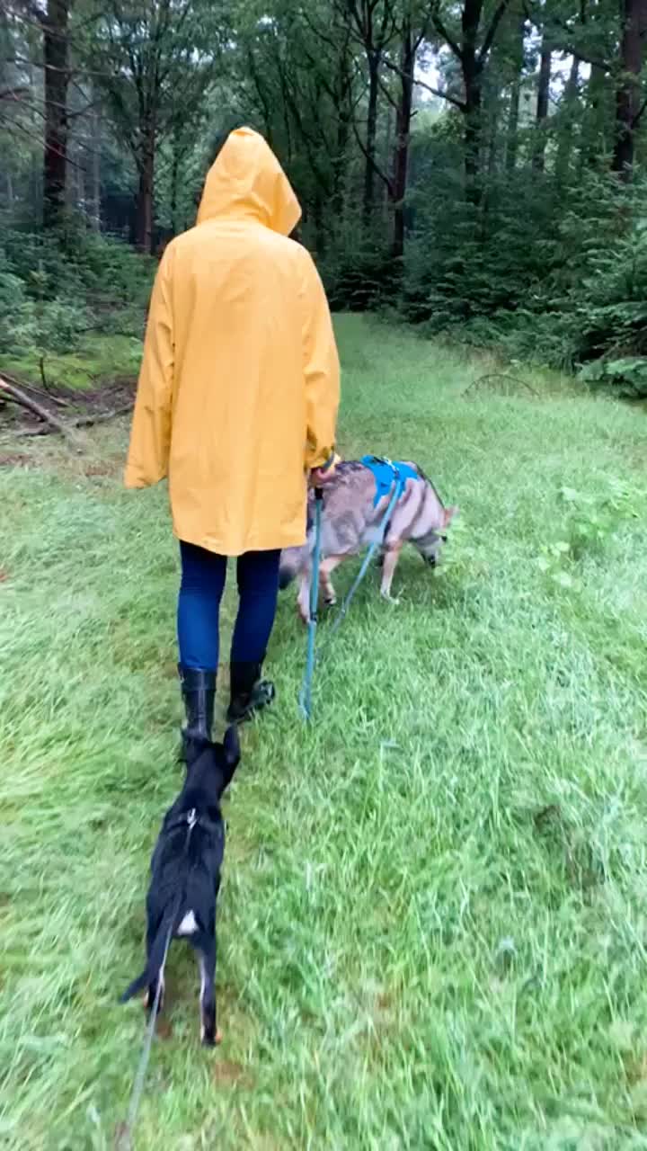 @Mara Maakt