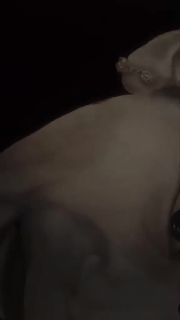 @MayaVi