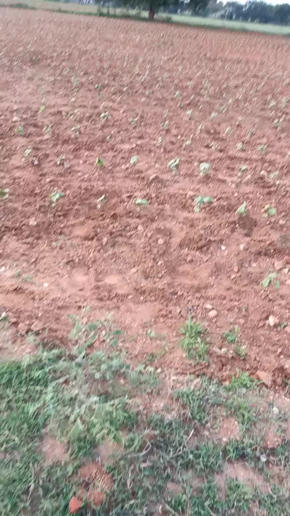@user93583430712