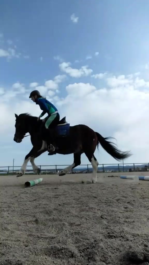 @Pony.gruppe❤️✨