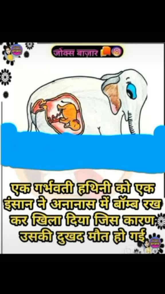 @Rajput Bohra