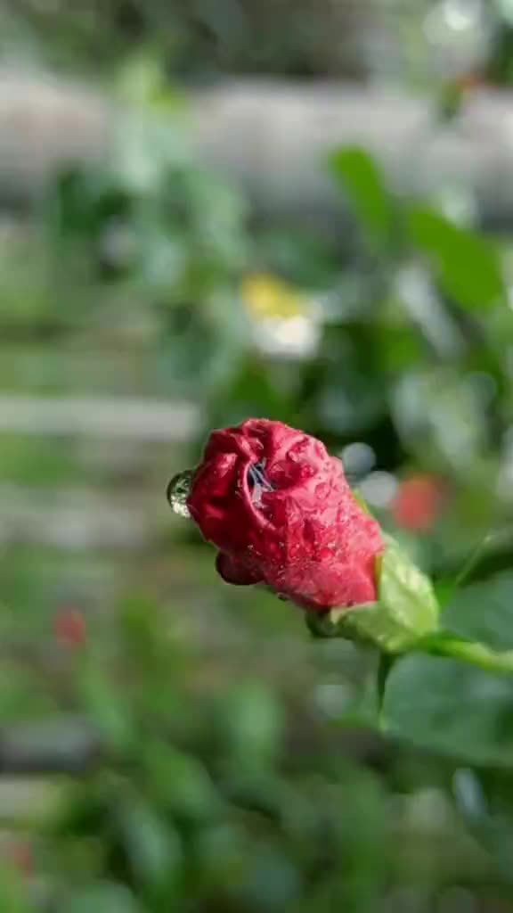 @பூமிராஜா