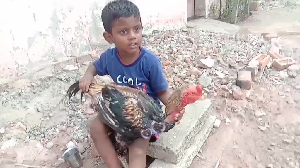 @kamali deeyan