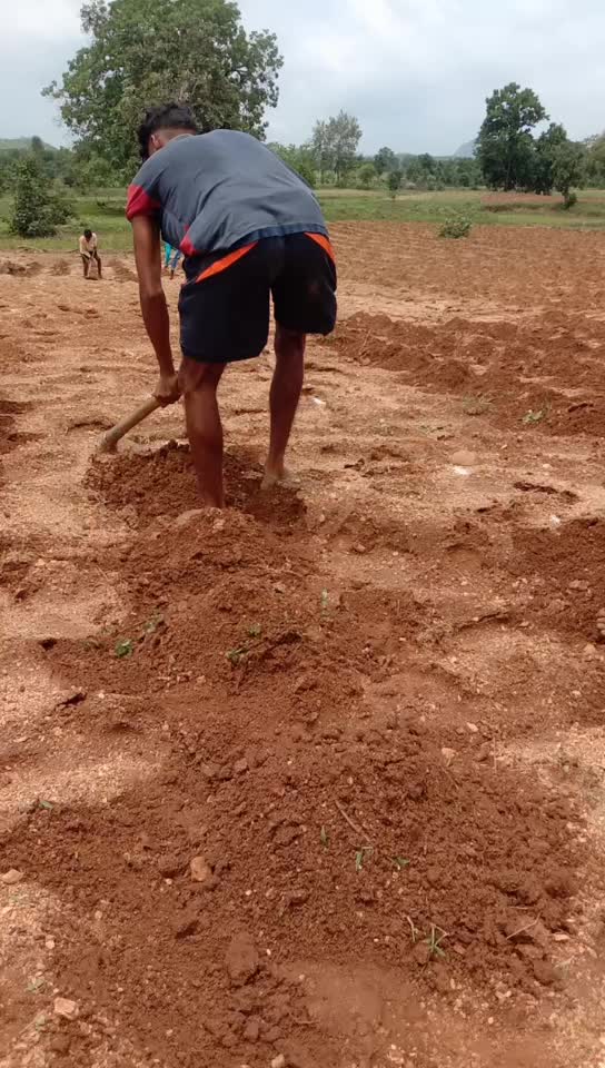 @Biranchi Bhoi