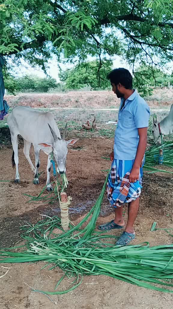 @தினேஷ் தீஷ்
