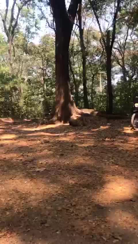@KURUDI___1103