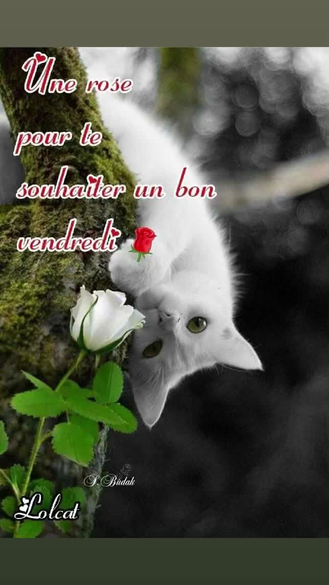 @Marie France8