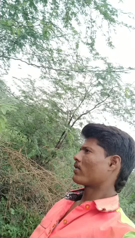 @kashim